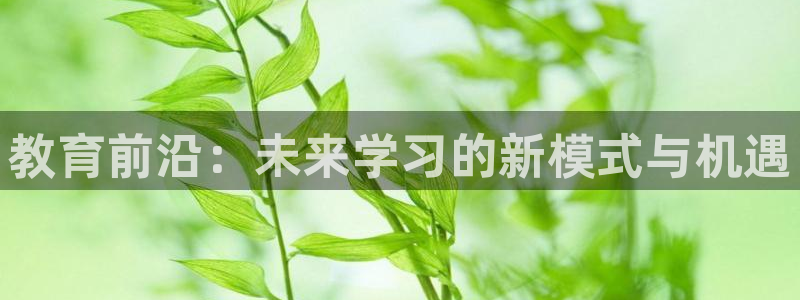 新宝5登陆