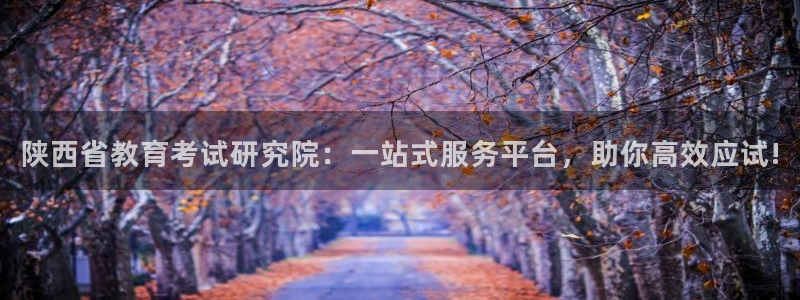 新宝5是谁