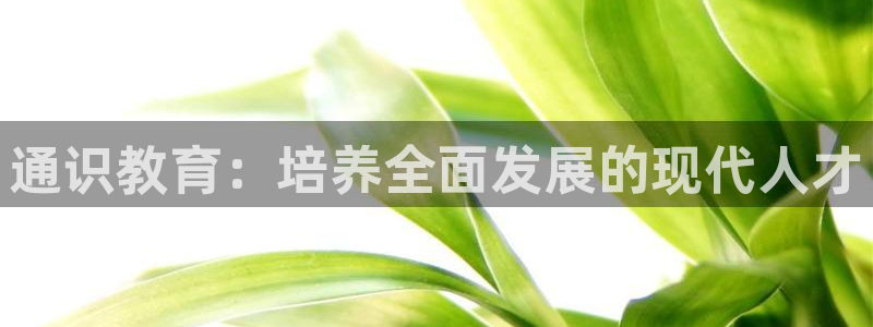 新宝5网