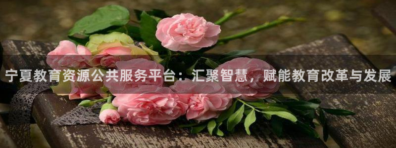 新宝5软件下载