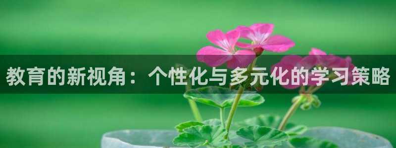 新5宝