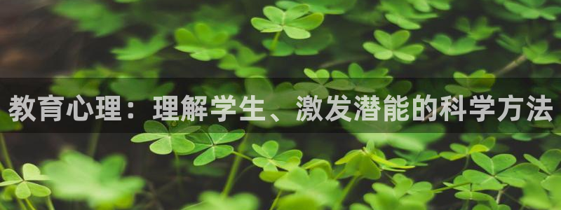新宝5娱乐平台
