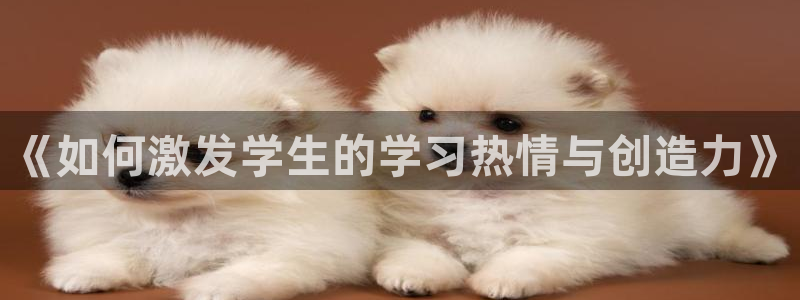 新宝5是谁的
