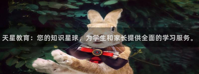 新宝5_测