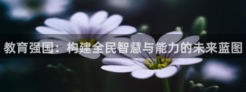 新宝5测速下载