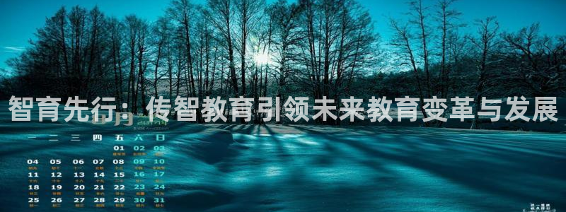 新宝5是什么样子的