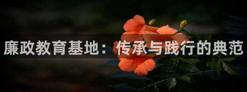新宝5官方网站