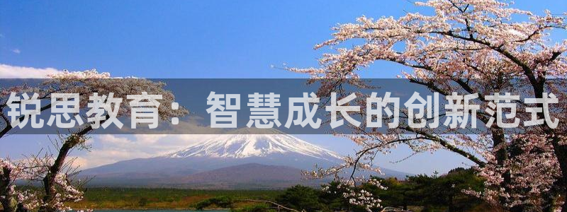 新宝5源码