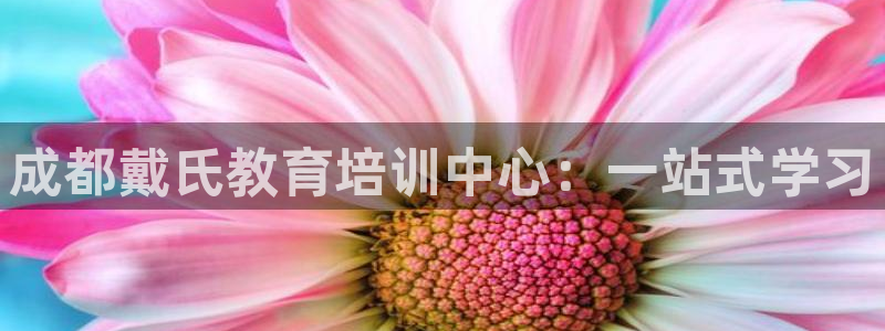 新宝股东张听2 5 5
