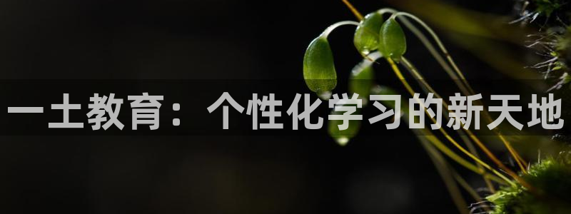 新宝5内部