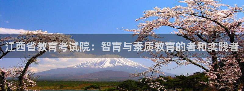 新宝5在哪里