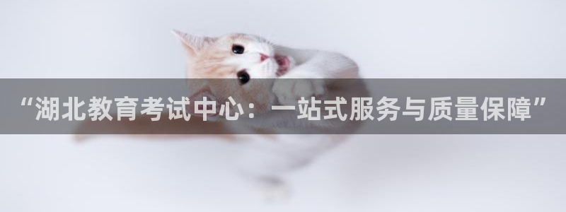 新宝5公司