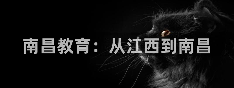 新宝5官方网站