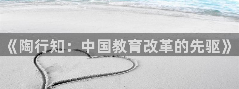 新宝5平台
