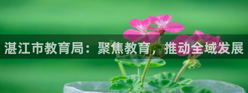 新宝5娱乐注