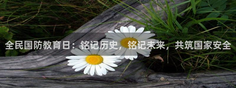 新宝5测速下载