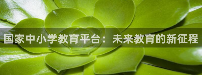 新宝奇迹GG5