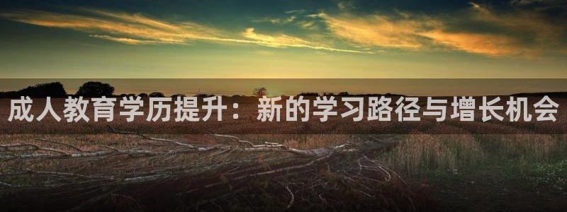 新宝5什么时候上市