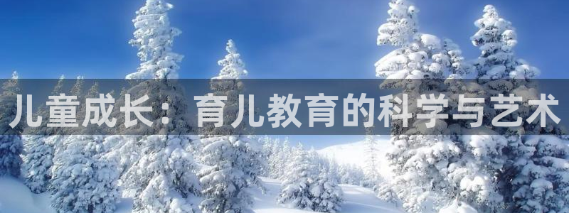 新宝5 - 测速登陆